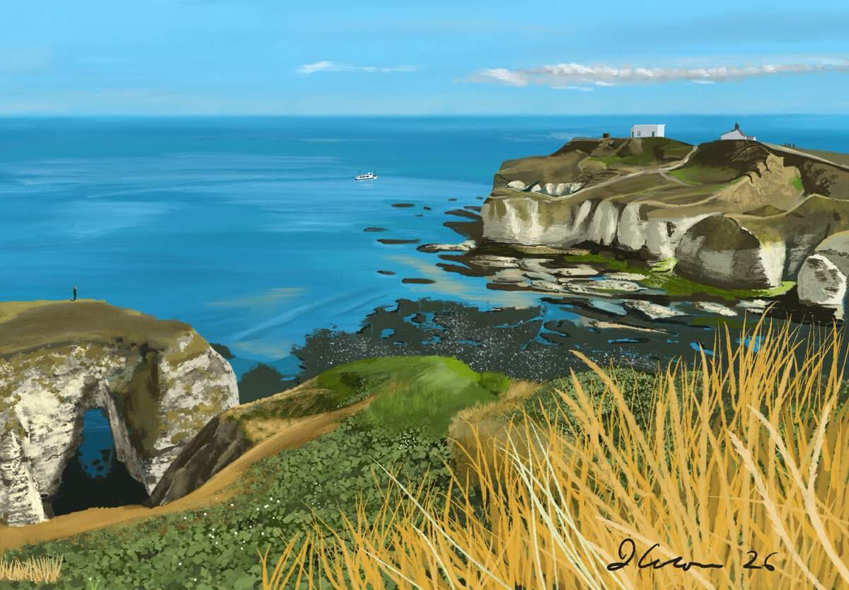 Selwicks Bay Coastal scene