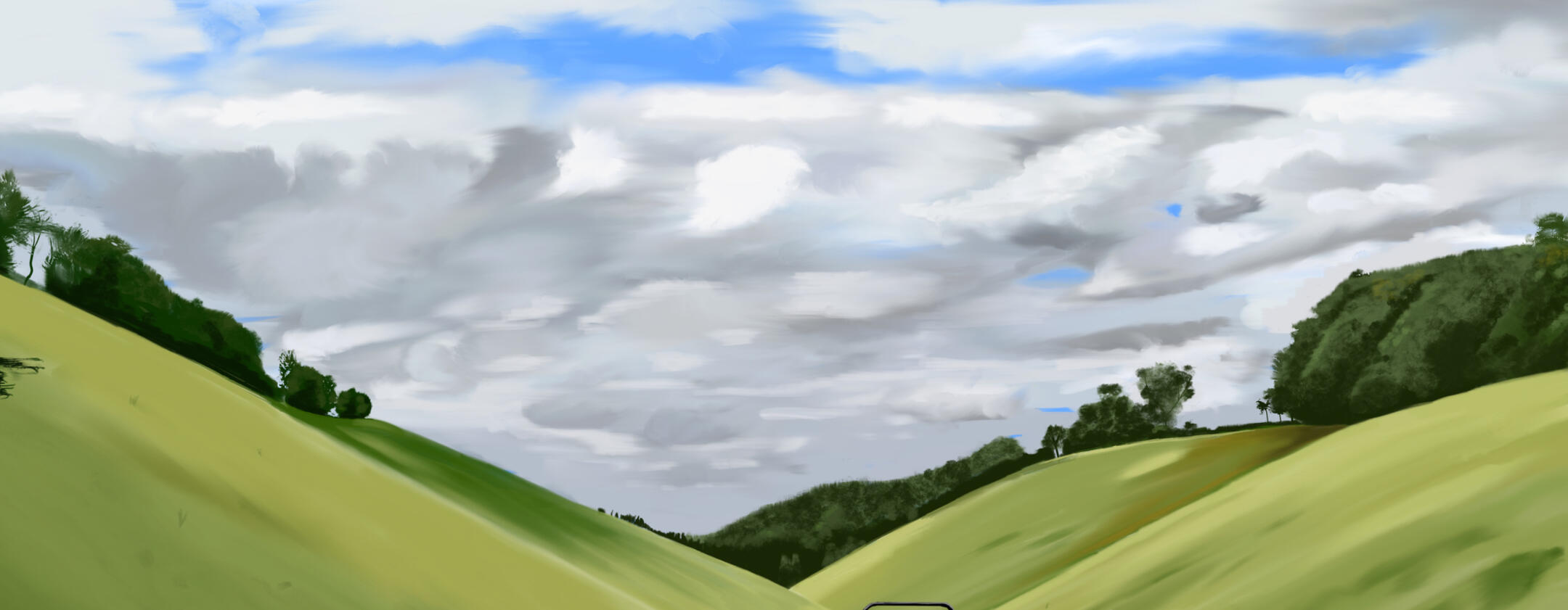 Launch of MFM in Chester 1989